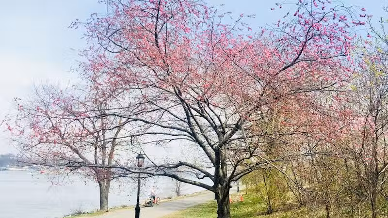 Riverside Park Conservancy - New York, NY