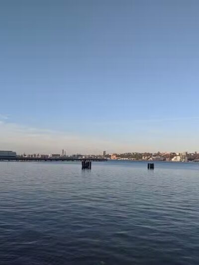 Riverside Park South Dog Run - New York, NY