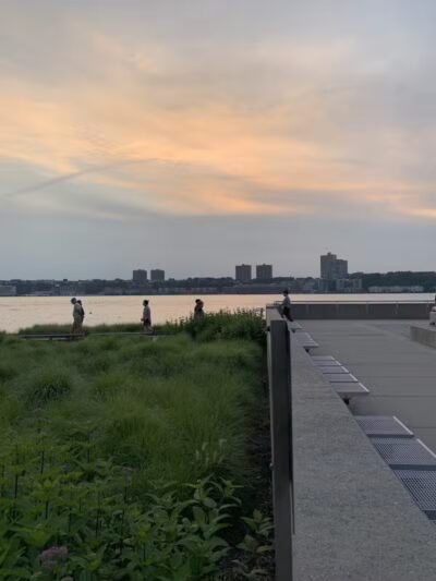 Riverside Park South Dog Run - New York, NY