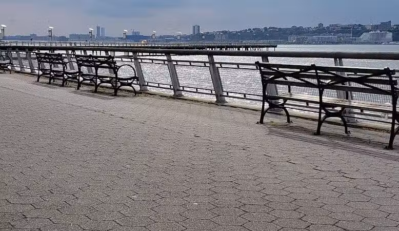 Riverside Park South Dog Run - New York, NY