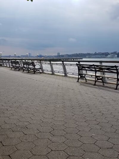 Riverside Park South Dog Run - New York, NY