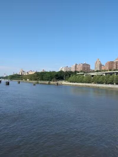 Riverside Park South Dog Run - New York, NY