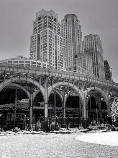 Riverside Park South Dog Run - New York, NY