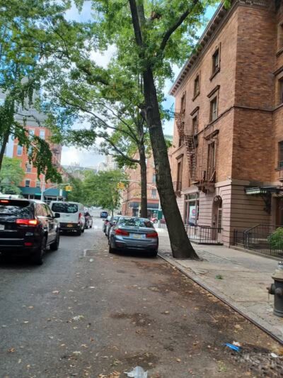 St. Nicholas Park Dog Run - New York, NY