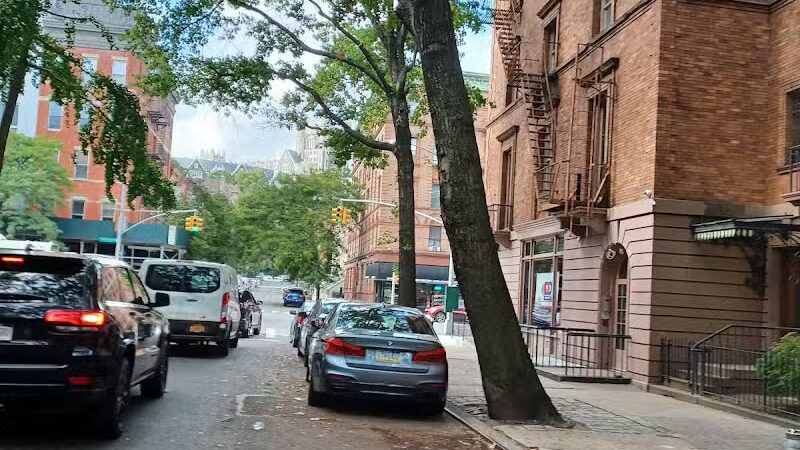 St. Nicholas Park Dog Run - New York, NY