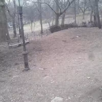 St. Nicholas Park Dog Run - New York, NY