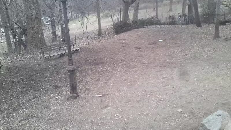 St. Nicholas Park Dog Run - New York, NY