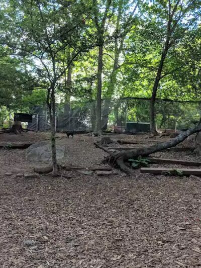 St. Nicholas Park Dog Run - New York, NY