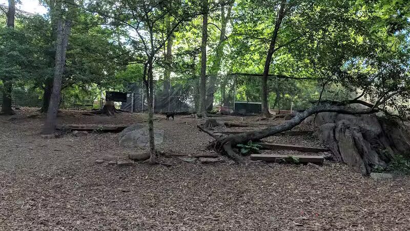 St. Nicholas Park Dog Run - New York, NY