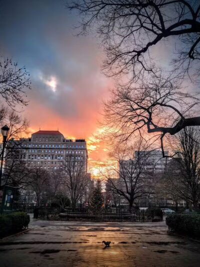 Stuyvesant Square Park - New York, NY