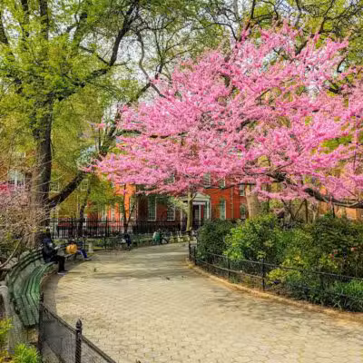 Stuyvesant Square Park - New York, NY