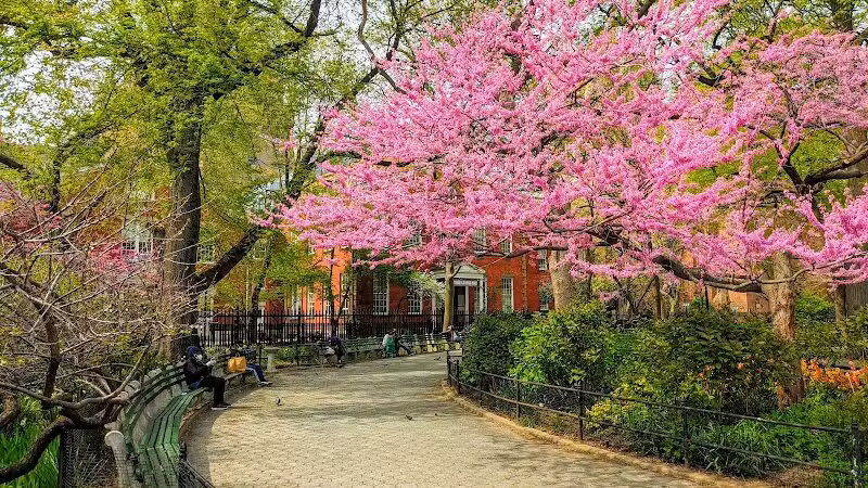 Stuyvesant Square Park - New York, NY