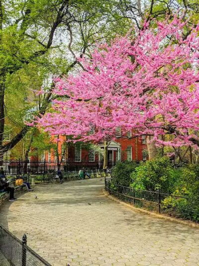 Stuyvesant Square Park - New York, NY