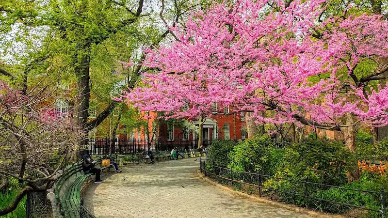 Stuyvesant Square Park - New York, NY