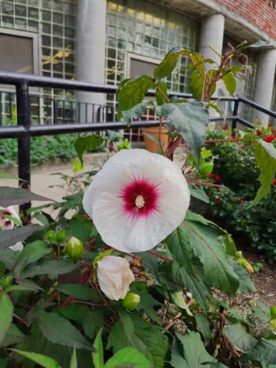 Thomas Jefferson Park - New York, NY