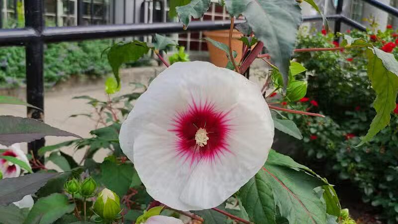 Thomas Jefferson Park - New York, NY