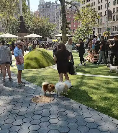 Union Square Dog Run - New York, NY