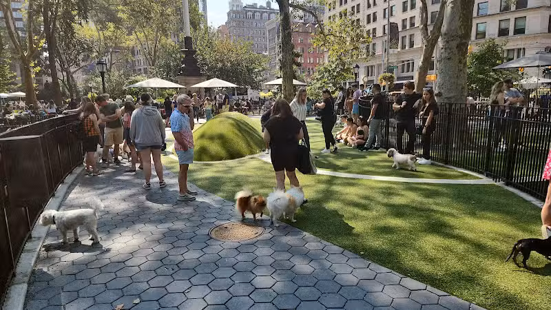 Union Square Dog Run - New York, NY