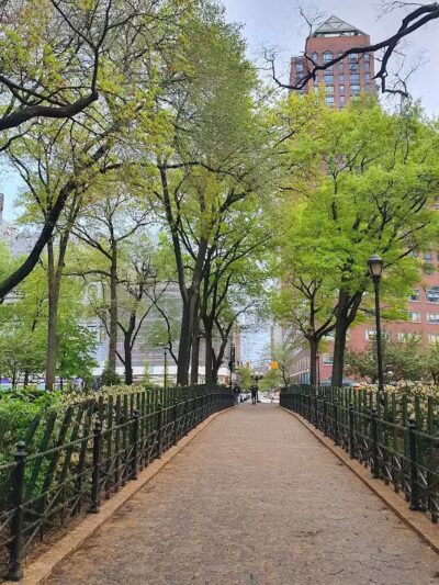 Union Square Dog Run - New York, NY