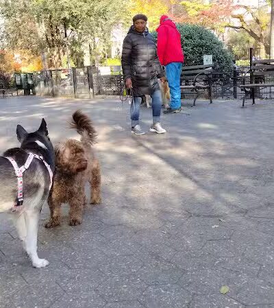 Union Square Dog Run - New York, NY
