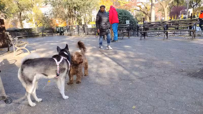 Union Square Dog Run - New York, NY