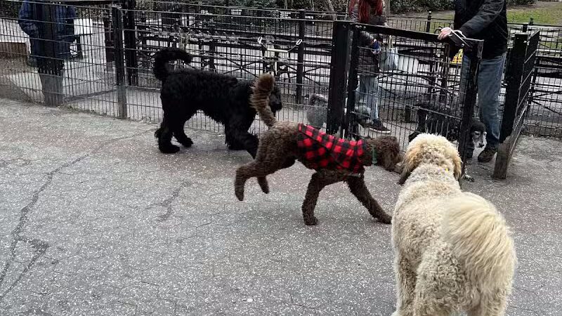 Union Square Dog Run - New York, NY