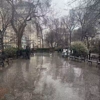 Union Square Dog Run - New York, NY