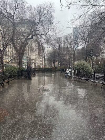 Union Square Dog Run - New York, NY