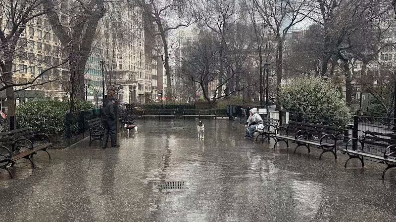 Union Square Dog Run - New York, NY
