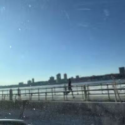 West 87th Street Dog Run - New York, NY