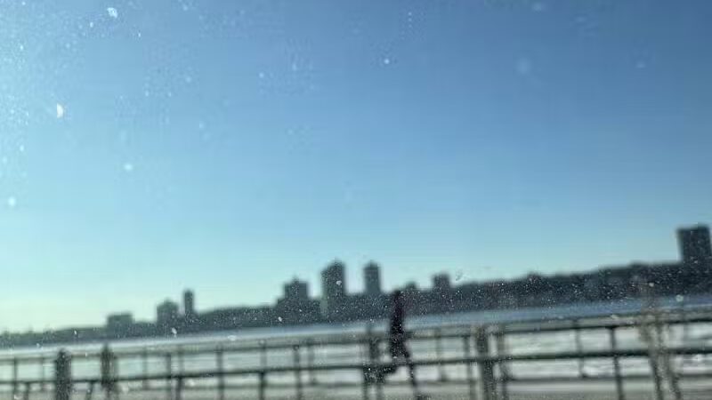 West 87th Street Dog Run - New York, NY