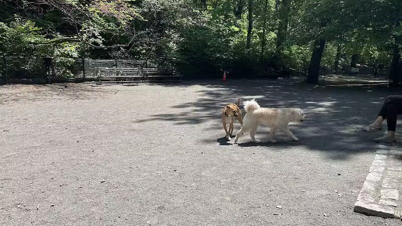 West 87th Street Dog Run - New York, NY