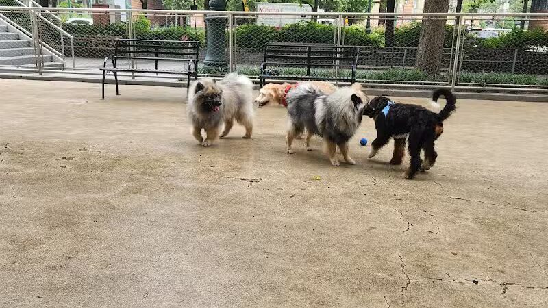 West Thames Dog Run - New York, NY