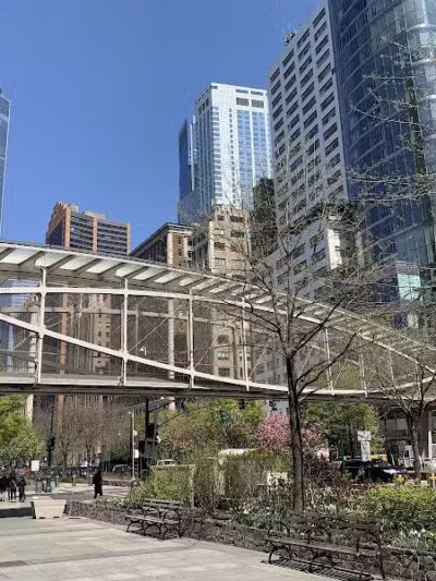 West Thames Dog Run - New York, NY