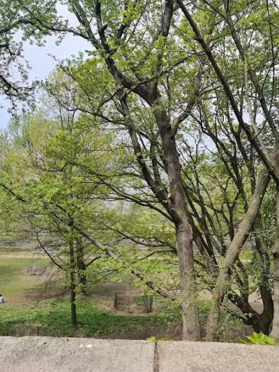105th Street Dog Run - New York, NY
