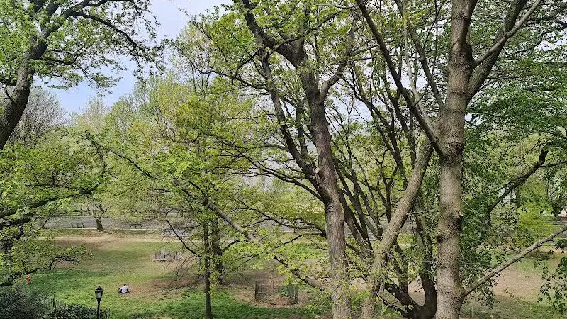 105th Street Dog Run - New York, NY