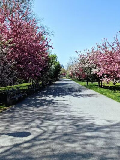 105th Street Dog Run - New York, NY