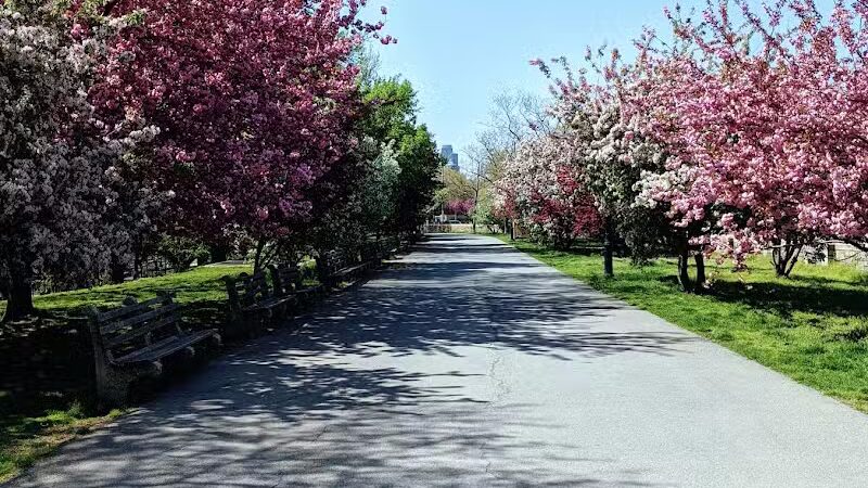 105th Street Dog Run - New York, NY