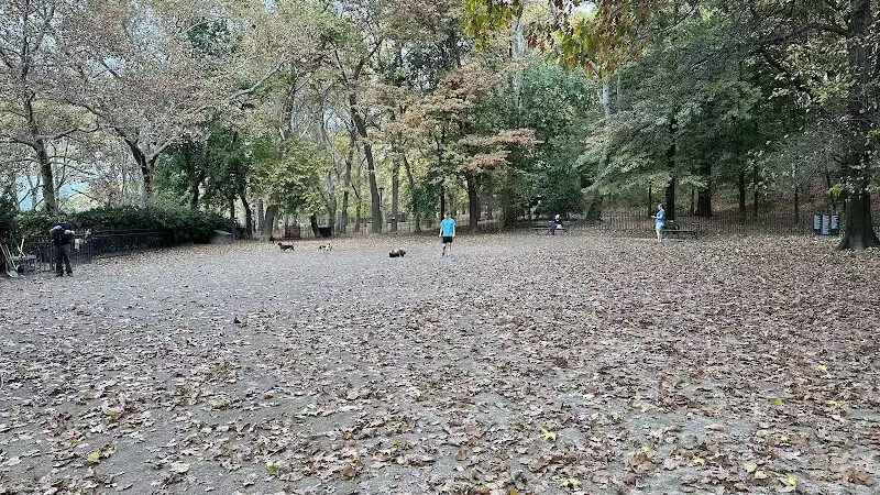 105th Street Dog Run - New York, NY