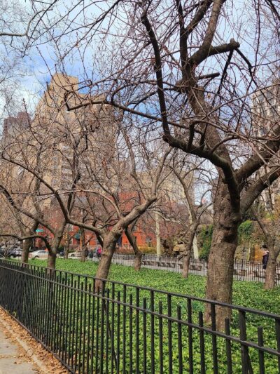 Carl Schurz Park - New York, NY