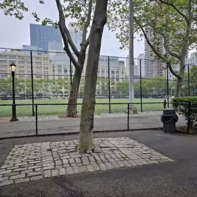 De Witt Clinton Dog Run - New York, NY
