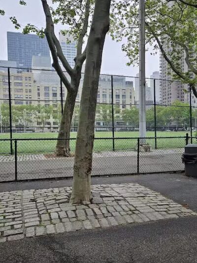 De Witt Clinton Dog Run - New York, NY