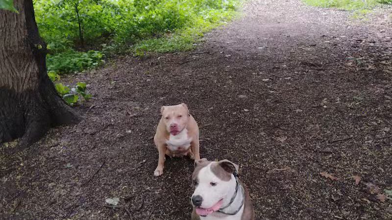 De Witt Clinton Dog Run - New York, NY