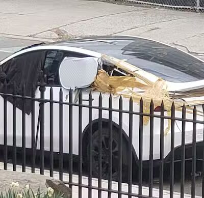 De Witt Clinton Dog Run - New York, NY