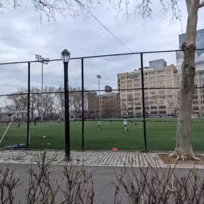 De Witt Clinton Dog Run - New York, NY