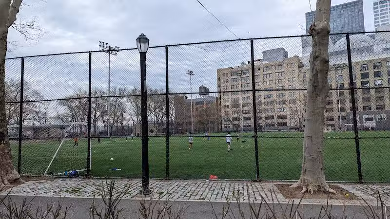 De Witt Clinton Dog Run - New York, NY