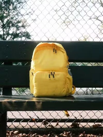 De Witt Clinton Dog Run - New York, NY