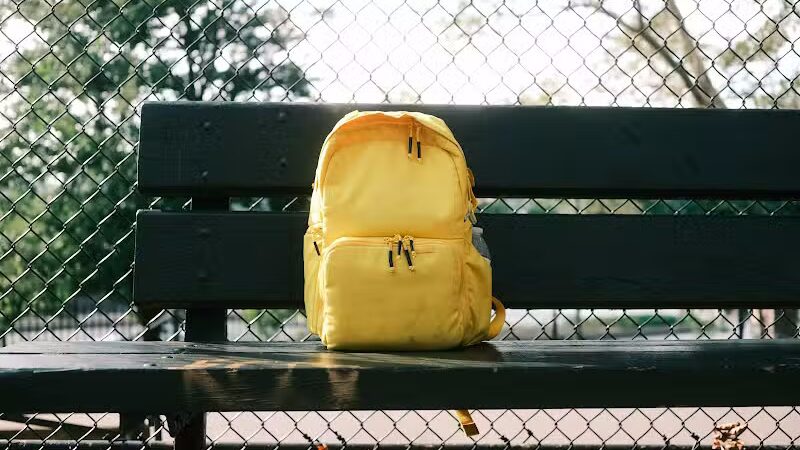 De Witt Clinton Dog Run - New York, NY