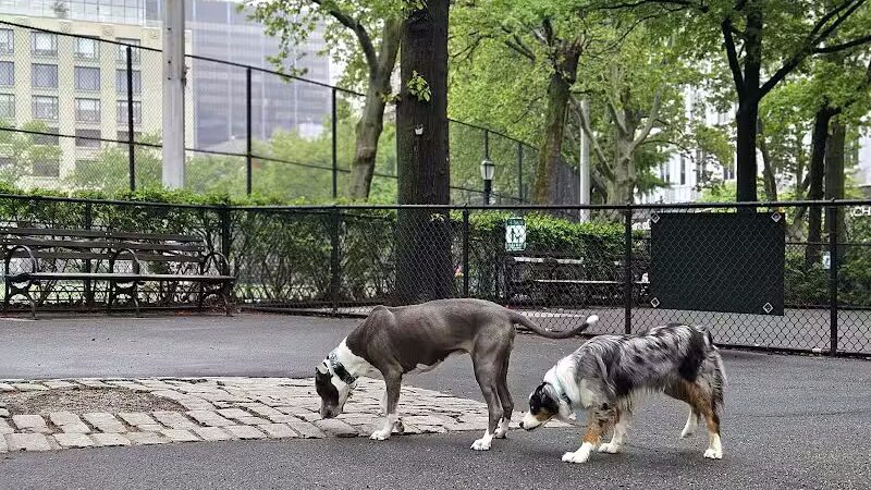 De Witt Clinton Dog Run - New York, NY