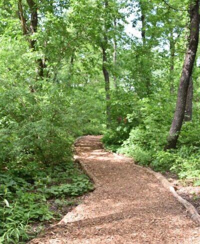Hallett Nature Sanctuary - New York, NY